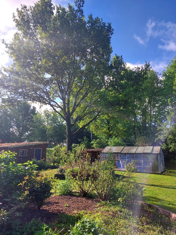 Slaaphuisjes Op Wielen Buitenwedde Westerwolde Exterior foto