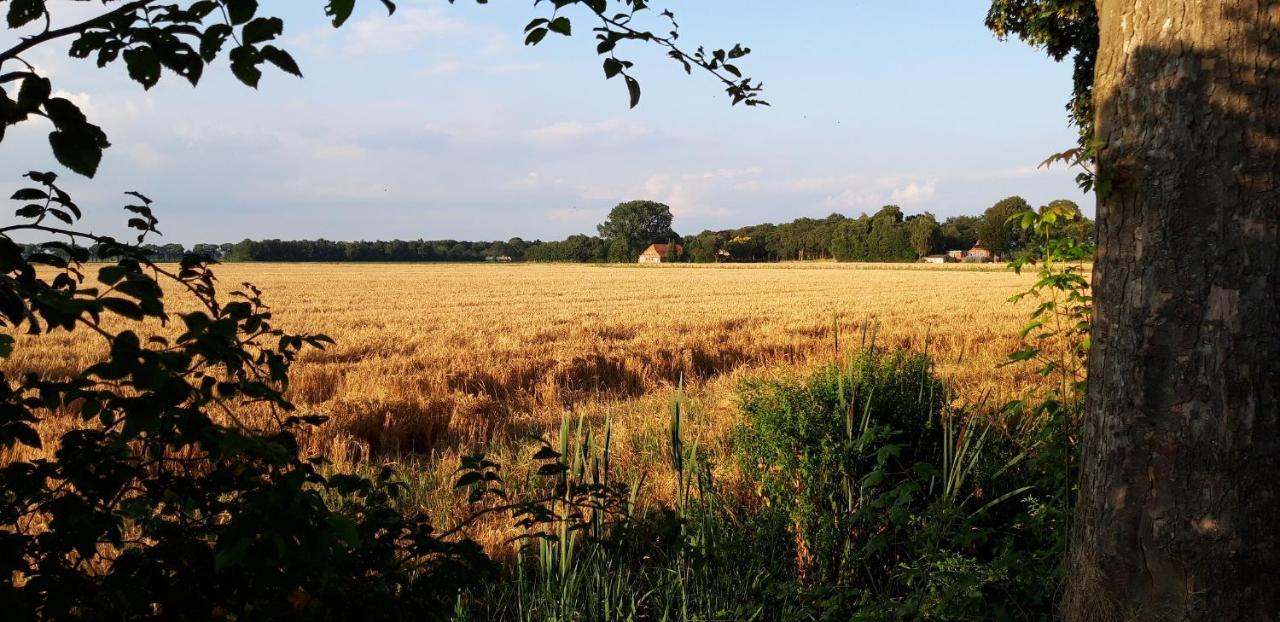 Slaaphuisjes Op Wielen Buitenwedde Westerwolde Exterior foto